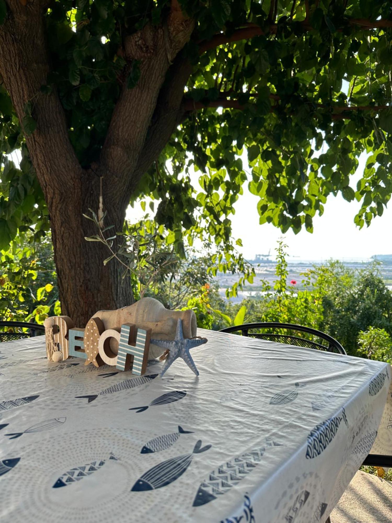 Quiet Countryside Apartments Near The City And The Sea Koper Extérieur photo